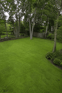 Original yard reference thumbnail